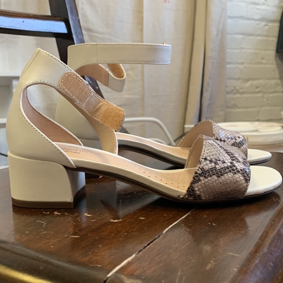 bottega poodle curve